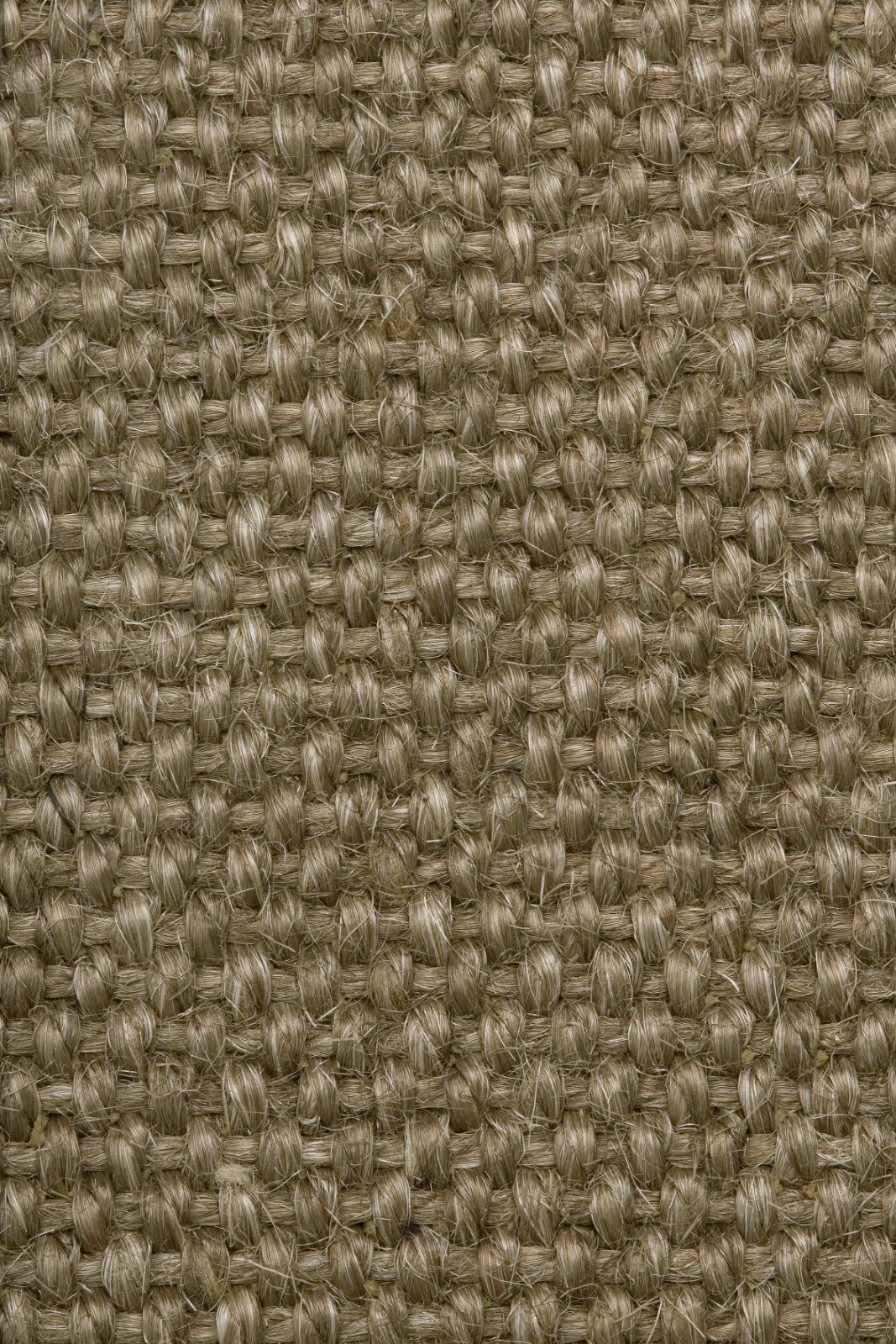 Sisal Carpet Tasibel Allegro 2804/20