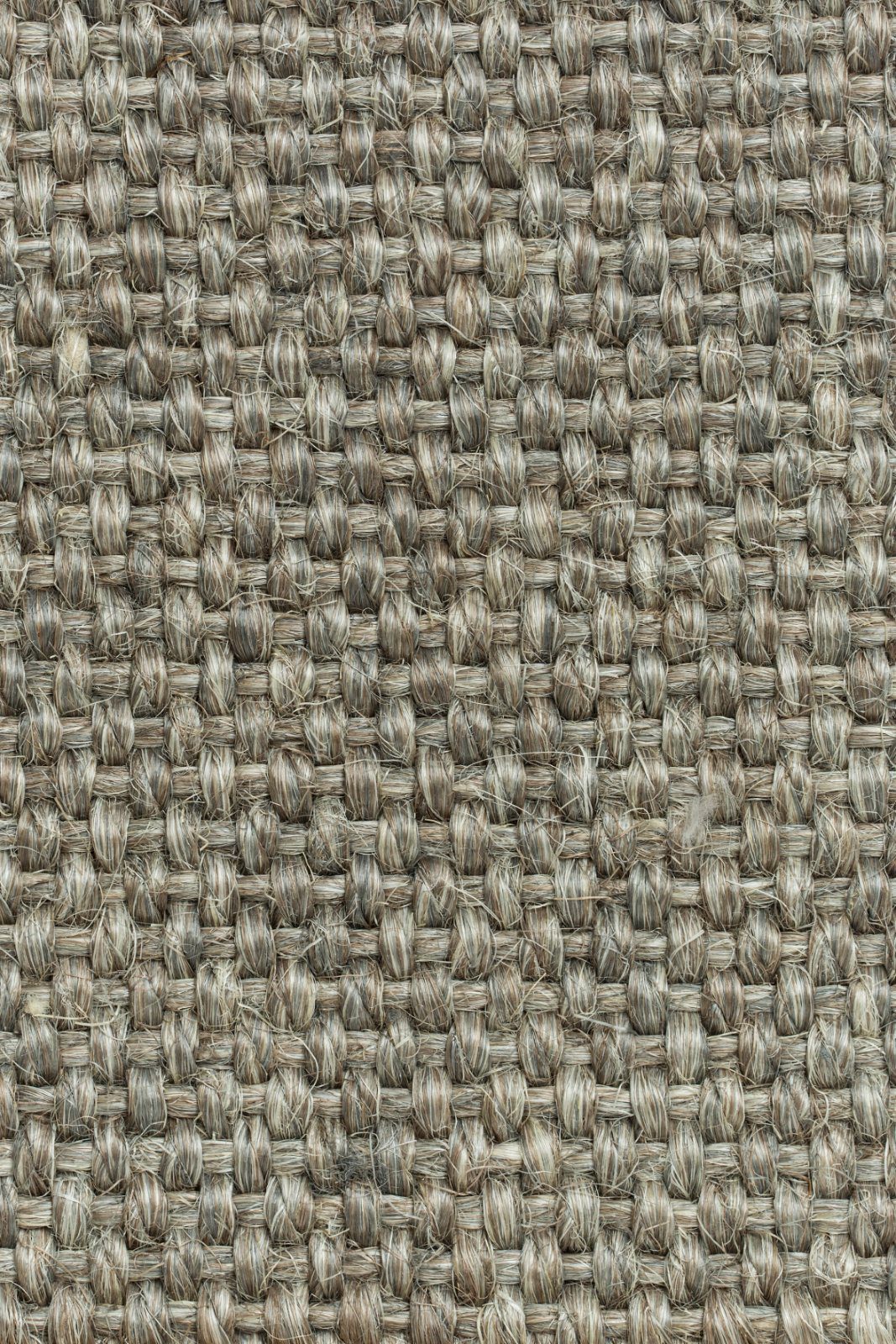 Sisal Carpet Tasibel Allegro 2814/20