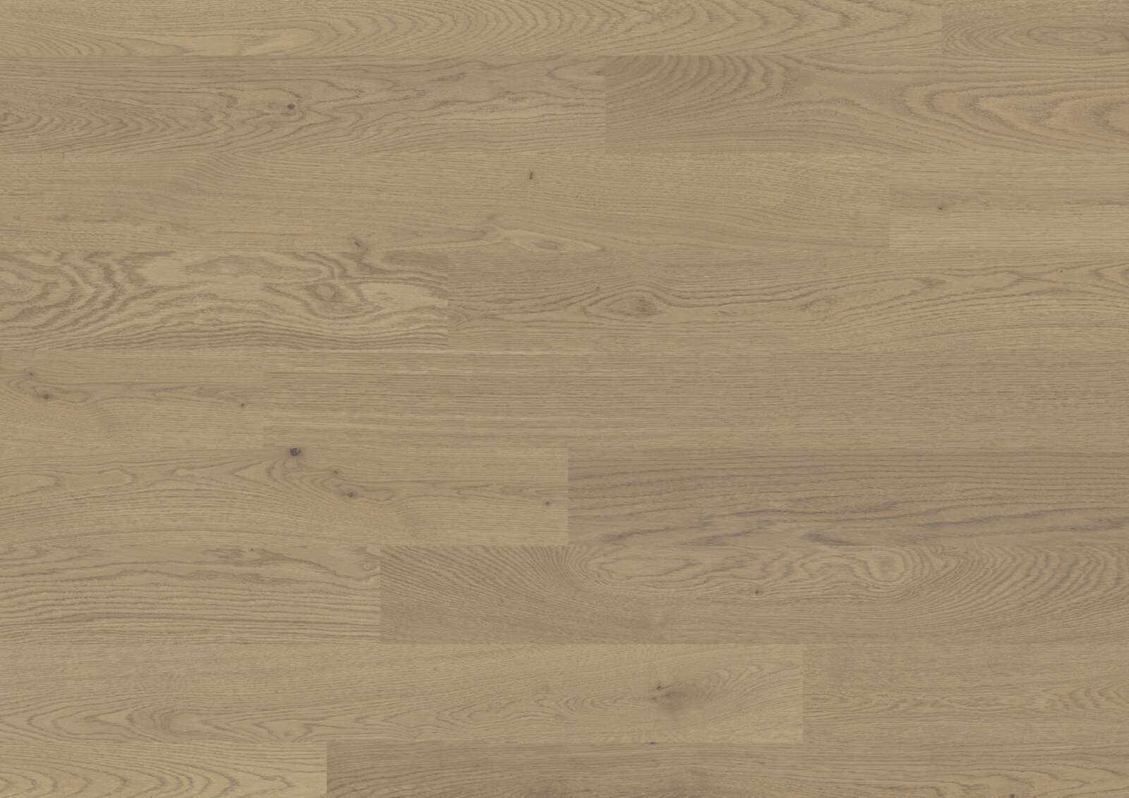 Parquet Flooring Bauwerk Trendpark 1390 Oak Sasso 24 oiled brushed