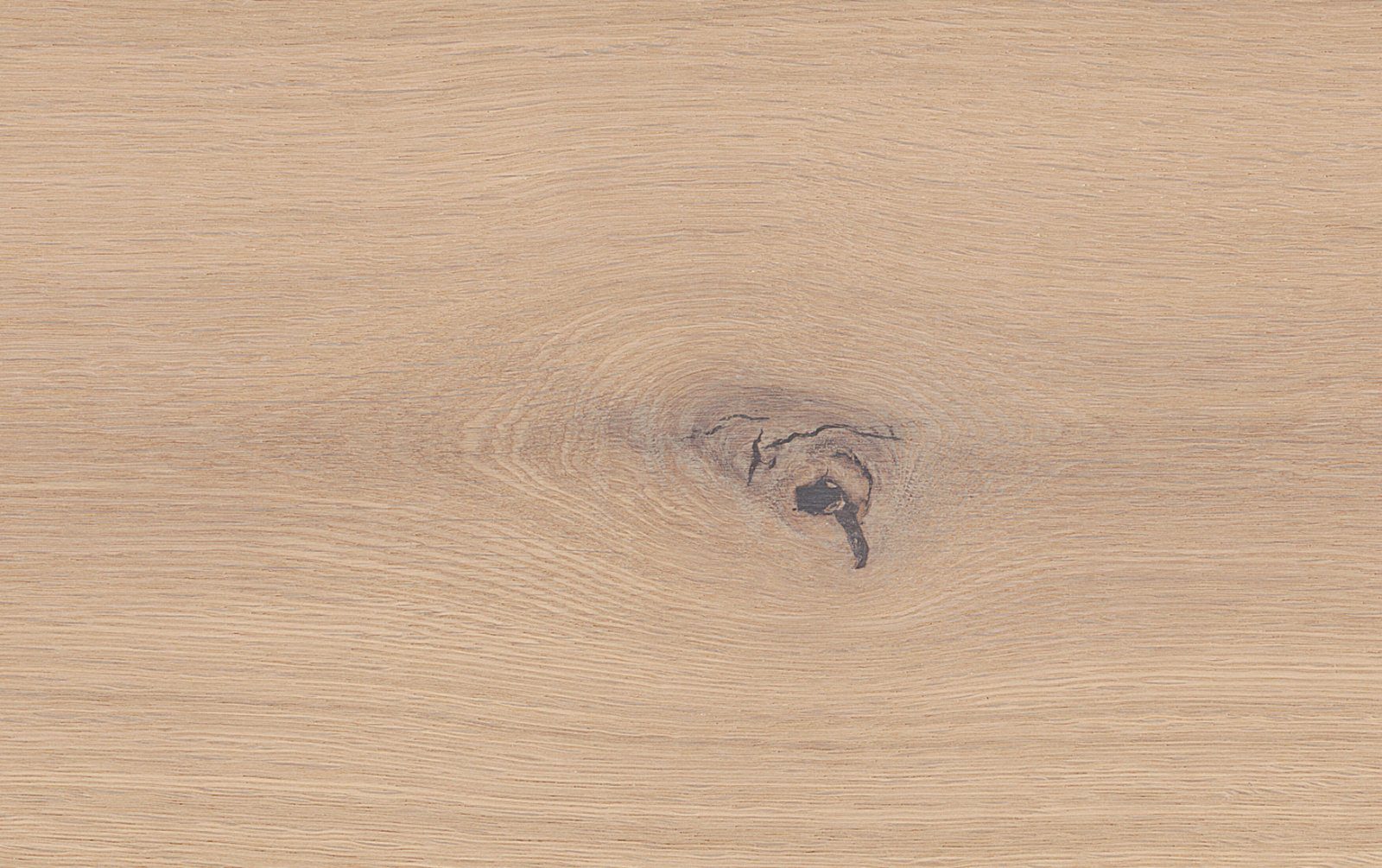 Oak parquet Thede & Witte Boston, knotty, brushed, white matt lacquered, 1-strip, 1900 x 189 x 15 mm – 3