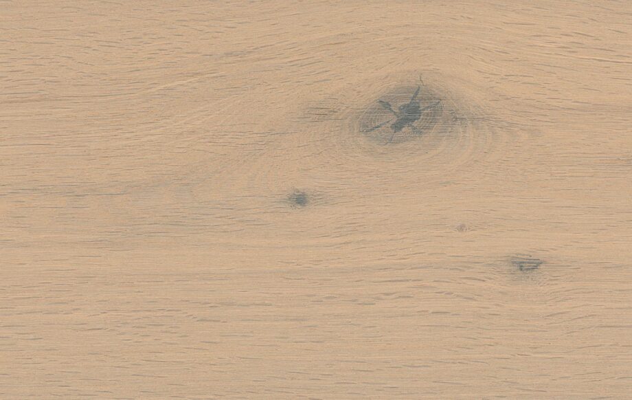 Oak parquet Thede & Witte Boston, knotty, smoked, brushed, white matt lacquered, 1-strip, 1900 x 189 x 15 mm – 3
