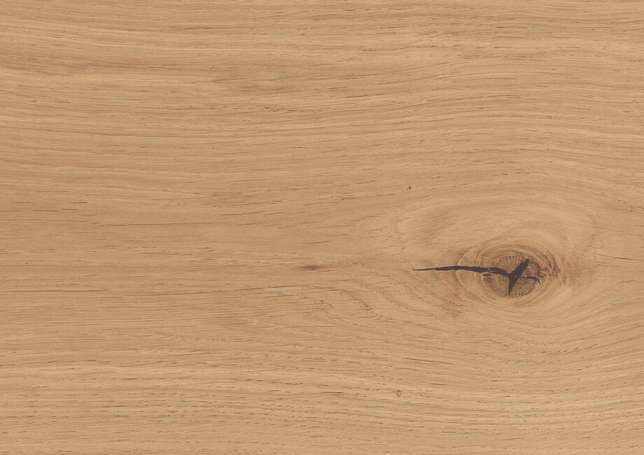 Oak parquet Thede & Witte Boston XL, knotty, brushed, oiled, rough appearance, 1-strip, 2200 260 15 – view 3 Oak parquet Thede & Witte Boston XL, knotty, brushed, oiled, rough appearance, 1-strip, 2200 x 260 x 15 mm – 3