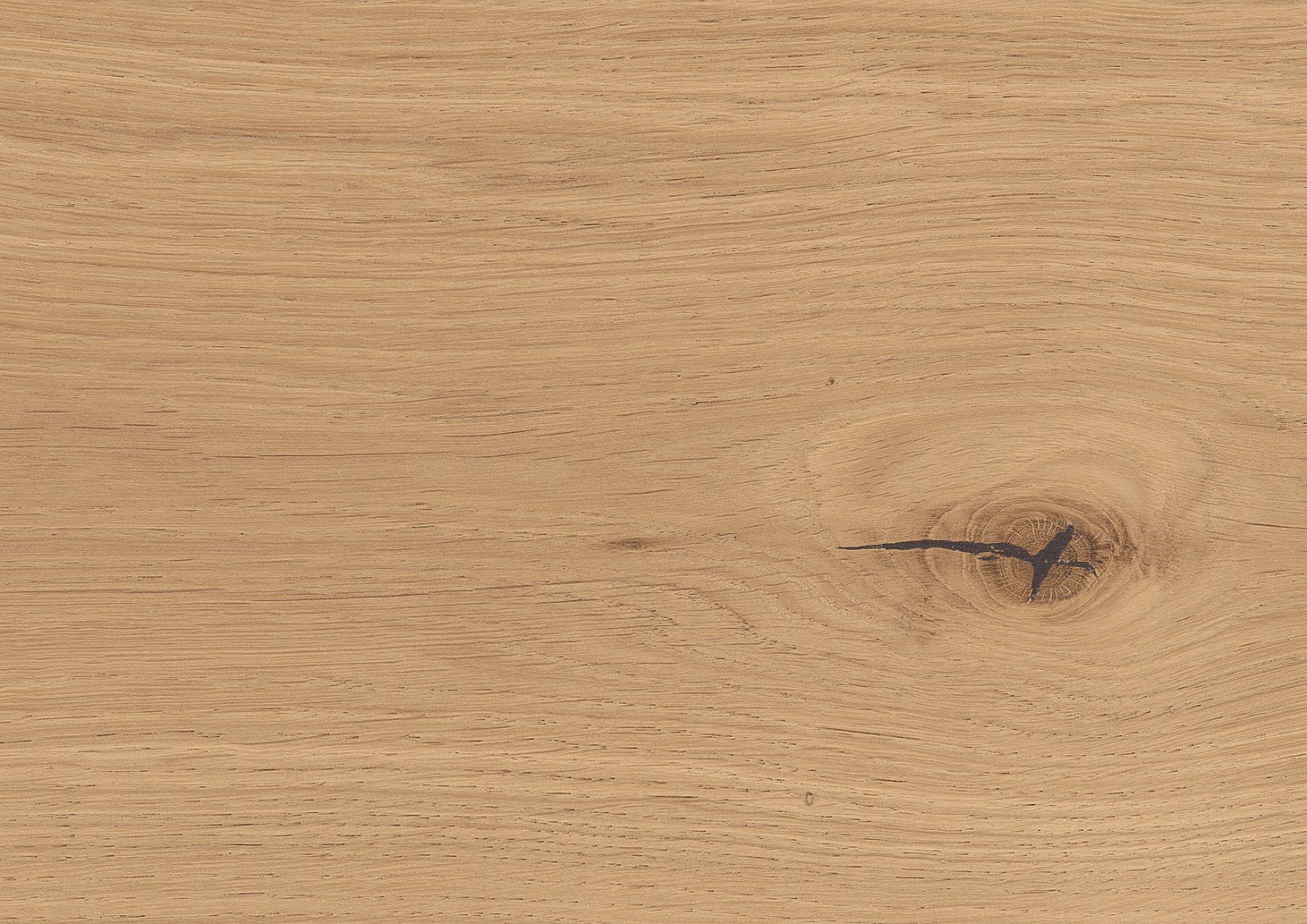 Oak parquet Thede & Witte Boston XL, knotty, brushed, oiled, rough appearance, 1-strip, 2200 x 260 x 15 mm – 3