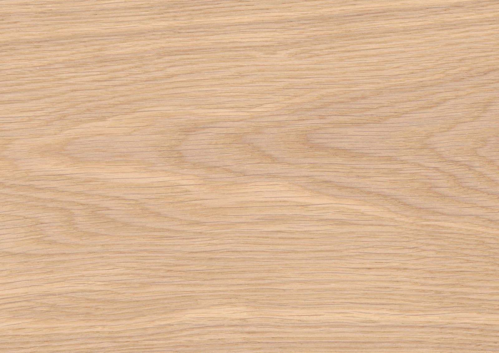 Oak parquet Thede & Witte Euro XL, nature, brushed, white oiled, 1-strip, 2230 x 254 x 14 mm – 3