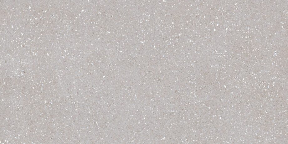 Terrazzo effect matt porcelain floor tile Tau Sassy Silver, 60×120 cm, 10.5 mm, silver grey, R10, rectified Terrazzo effect matt porcelain floor tile Tau Sassy Silver, 60x120 cm, 10.5 mm, silver grey, R10, rectified