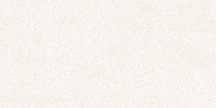 Terrazzo effect matt porcelain floor tile Tau Tornares Teide White, 60×120 cm, 10.5 mm, white, rectified Terrazzo effect matt porcelain floor tile Tau Tornares Teide White, 60x120 cm, 10.5 mm, white, rectified