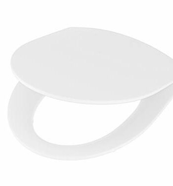 Toilet Ifö Inspira Art Rimfree, vertical, with soft close seat