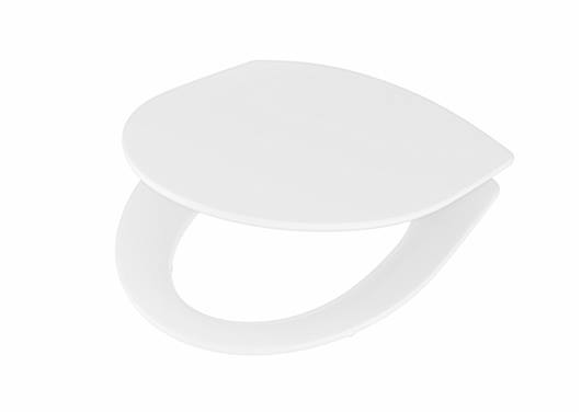 Toilet Ifö Inspira Art Rimfree, vertical, with soft close seat