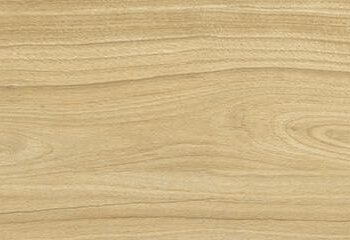 Wood effect matt porcelain floor tile Tau Loire Camel, 20x120 cm, 9 mm, camel, rectified