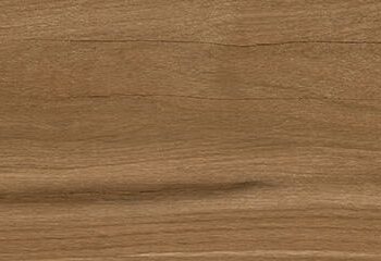 Wood effect matt porcelain floor tile Tau Loire Umber, 20x120 cm, 9 mm, umber, rectified